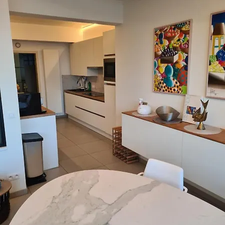 Frontaal Gelijkvloers Seaview 80m² 2 Slp Appartement Oostende