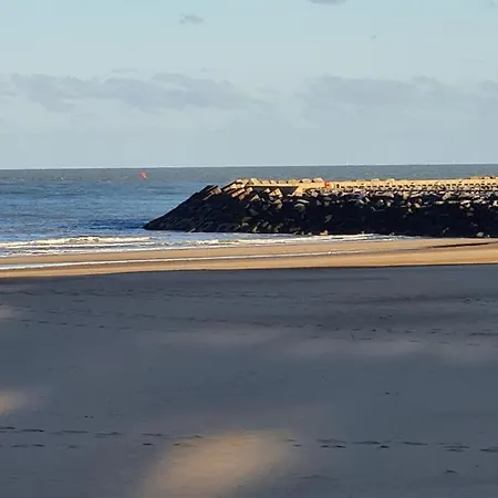 Frontaal Gelijkvloers Seaview 80m² 2 Slp Appartement Oostende