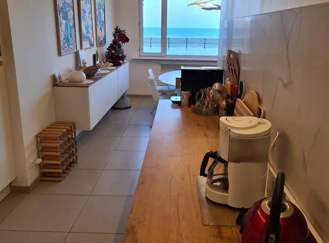 Frontaal Gelijkvloers Seaview 80m² 2 Slp 奥斯滕德