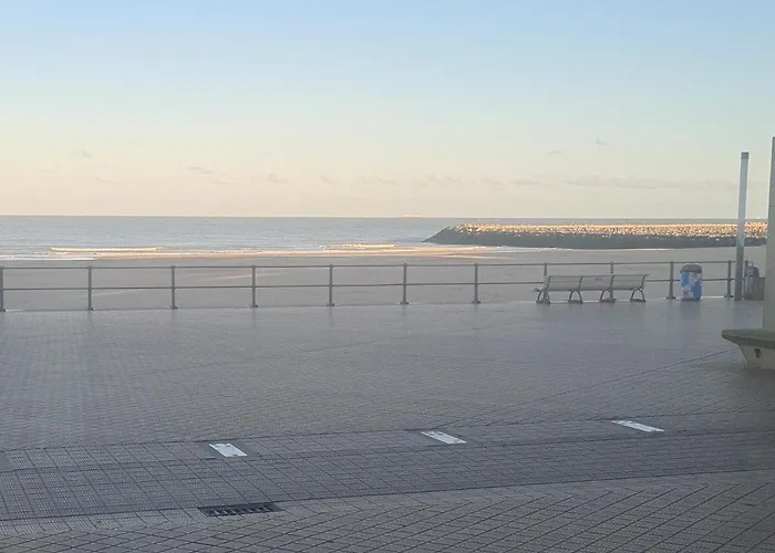 公寓 Frontaal Gelijkvloers Seaview 80m² 2 Slp 奥斯滕德