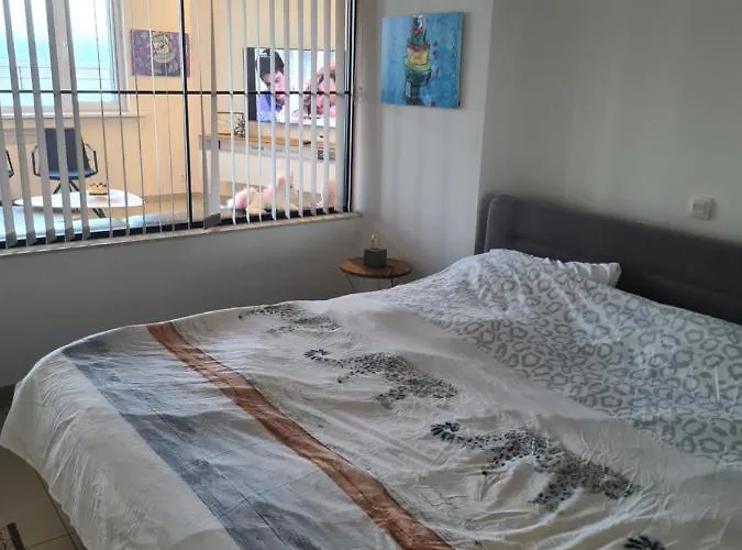 Frontaal Gelijkvloers Seaview 80m² 2 Slp Apartment Ostende